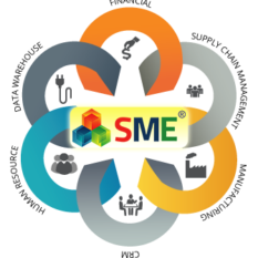 ERP for SME Business