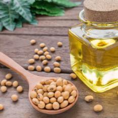 Soya bean Oil