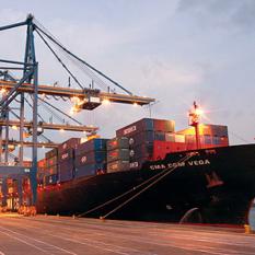 Sea Freight Forwarding