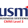 USM Business Systema