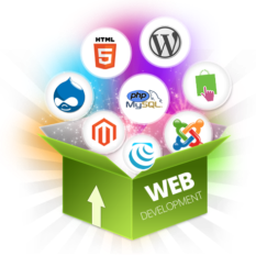 Web Development