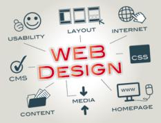 Professional Website Design & Development