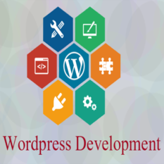 Wordpress Development