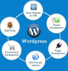 Wordpress Development Services